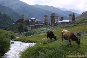 swanetien-reisen-bilder