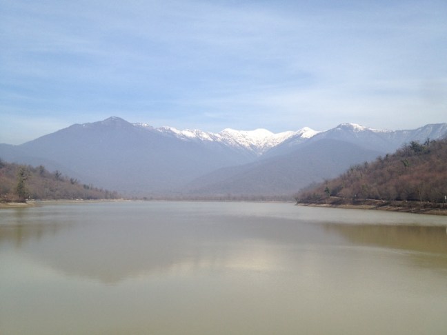 image-f37ba285378b58681381dc25c21b4d315023c0d113fee19af31fc97c9b8e175f-V