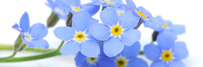 34d921569ca5448083c886e38753bc55