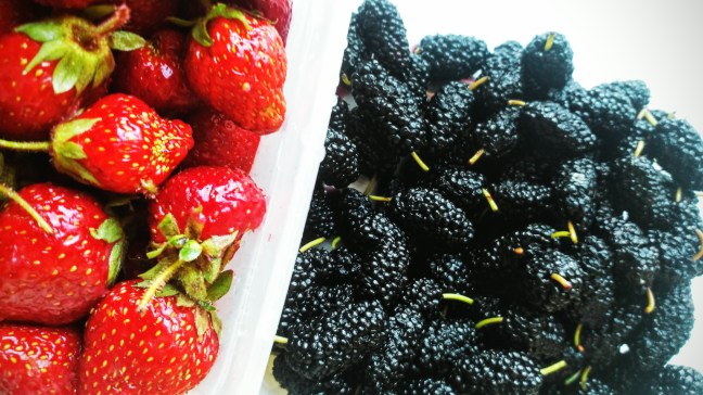 Maulbeeren/Erdbeeren