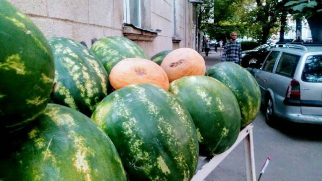 wassermelonen