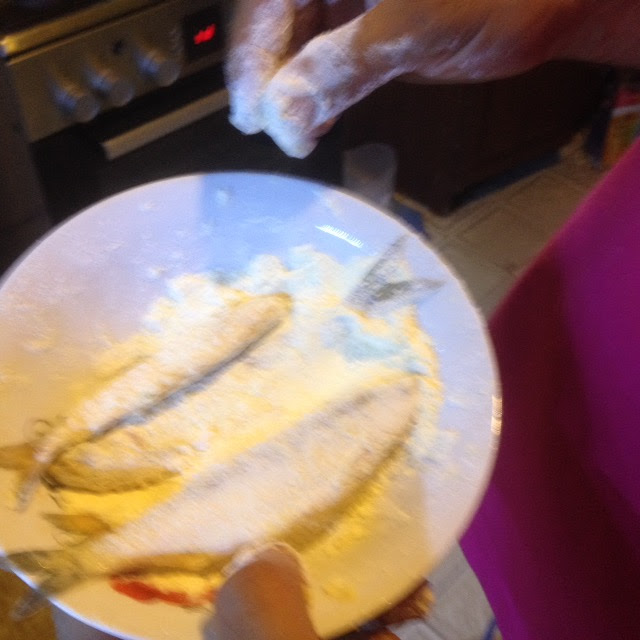 image-0-02-05-ad0e1cc2d9c1ddbc82e0e0481799a681706c95c72a5d762878b3beaa2b954ea0-V