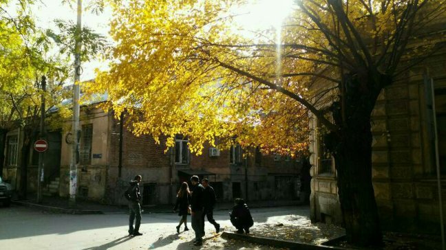 automn-tbilisi-523878728.jpg