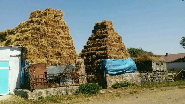 heustock-georgien150437890.jpg