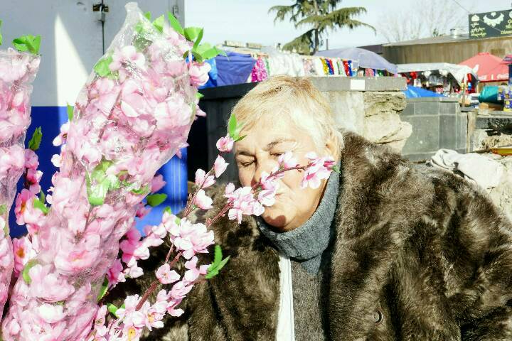 Blumen auf dem Markt der Deserteure