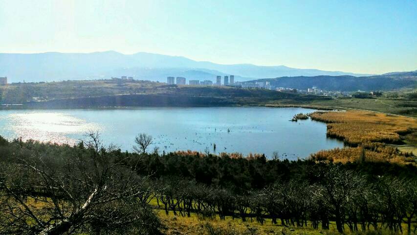Der Lisisee hat eine schöne Schilf-Zone