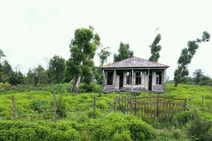eine typische mingrelische Oda, auf Stelzen, weil das Gebiet sehr feucht ist.