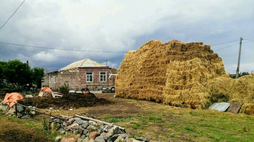 in Poka, beim Parawanipass, ist man bereit für den Winter: Die Heuhaufen sind grösser als die Häuser