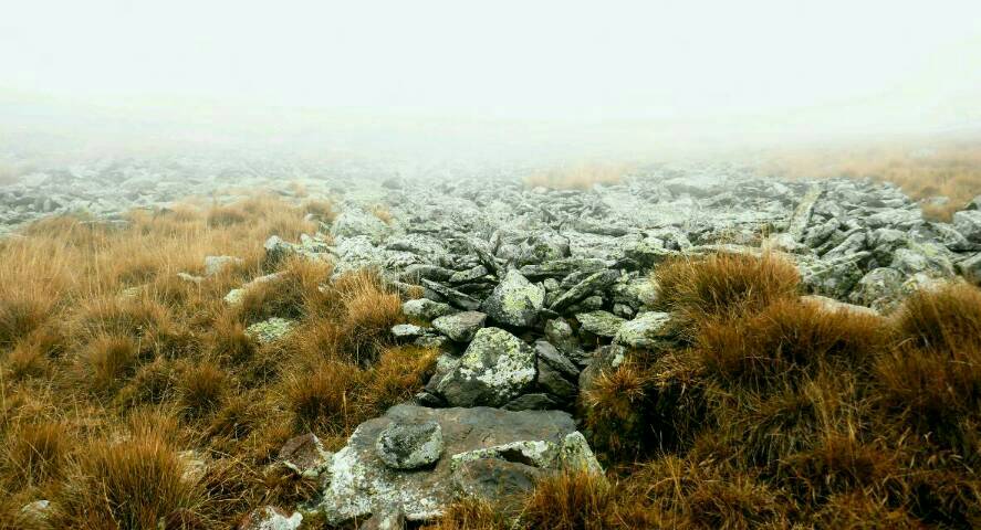 Die Vulkanite Basalt, Bmsstein und Tuffstein finden sich hier leicht