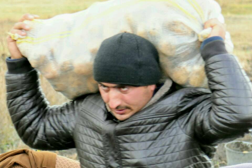 Schwerer Kartoffelsack auf Maxims Schultern