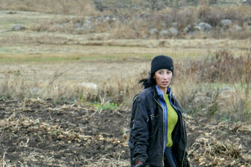 Schönheit auf dem Kartoffelfeld. Die Titelseite von einem Modemagazin würde dieser jungen Frau auch gut stehen.