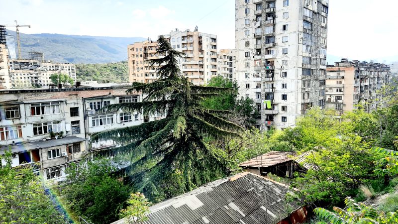 Blick auf das Bachtrioni Quartier in tbilisi mit schöner alter Libanon-Zeder