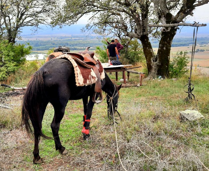 Reitausflug in Kachetien, Ostgeorgien
